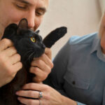 Cats and Their Secret Worlds: What They Teach Us About Mystery