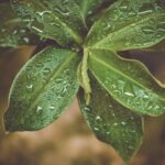 The Art of Not Giving Up: Stories of Endurance from Successful Professionals